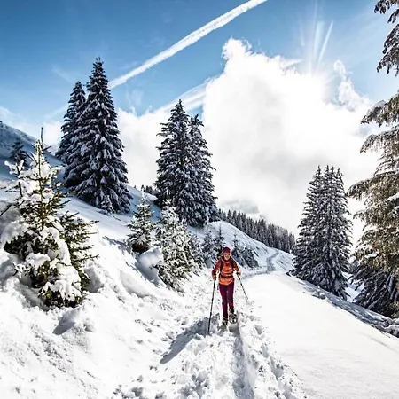 In For 4 People * Châtel