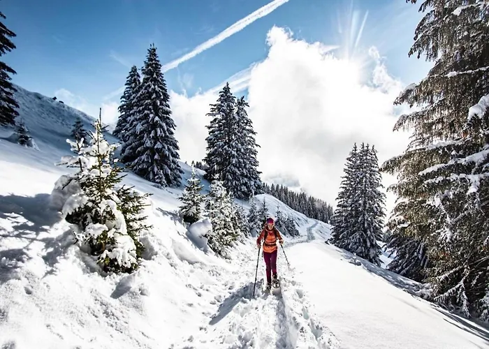 In For 4 People * Châtel